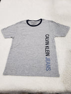 Calvin Klein Boys tshirt 5t Grey ltr